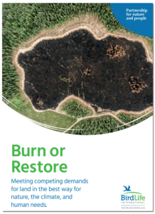 Burn or Restore: Meeting competing demands for land in the best way for nature, the climate, and human needs.